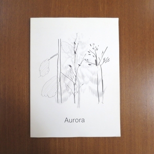 Aurora 塩川いづみ 服部あさ美 平山昌尚 HIMAA Noritake イラスト 画集 美術手帖 装苑 花椿 カーサ ブルータス デザイン Nieves zine