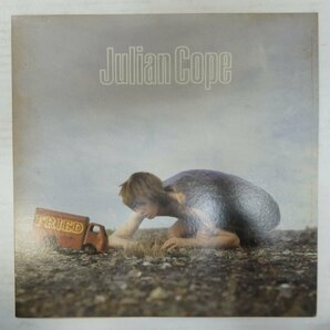 46069504;【国内盤/美盤】Julian Cope / Friedの画像1