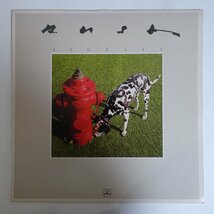 10023305;【USオリジナル/バーコード無し/Purple Translucent Vinyl】Rush / Signals_画像1