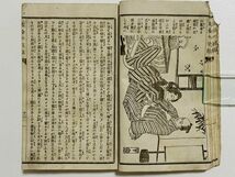 「新説黄金廼花籠」 1冊 松亭鶯痴識 明治18年｜和本 和書 古典籍 絵本 絵入本 浮世絵 読本 草双紙 水野年方 鏑木清方_画像7