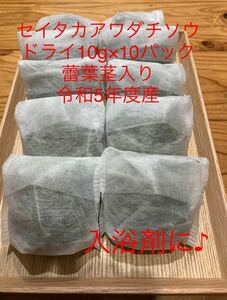 即決　送料無料♪ 令和5年度産 セイタカアワダチソウ　ドライ　乾燥10g×10パック