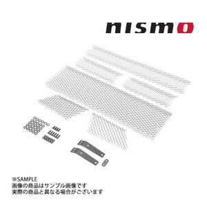 即納 NISMO ニスモ Z-tune フロントバンパー 取付キット スカイライン GT-R BNR34 62020-RSR46-Z1 ニッサン (660102041