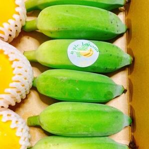 お試しやプレゼントにも！沖縄産アップルバナナ、パッションフルーツ、カニステル ３種！の画像2