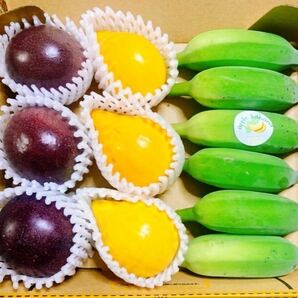お試しやプレゼントにも！沖縄産アップルバナナ、パッションフルーツ、カニステル ３種！の画像1
