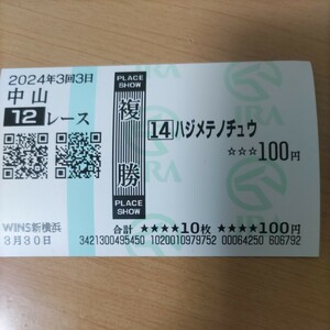 競馬　単勝複勝馬券　カードコレクション　未使用　珍名馬券　面白い名前単勝馬　ハジメテノチュウ　中山競馬場　ウマ娘