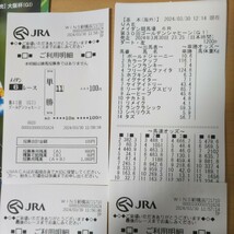 競馬　ドバイゴールデンシャヒーン　レーシングプログラム　単勝馬券利用明細　オッズシート　ドンフランキー　イグナイター　リメイク　_画像3