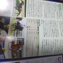 競馬　ドバイ　ゴールデンシャヒーン　レーシングプログラム　オッズシート　単勝馬券利用明細　ドンフランキー　イグナイター　リメイク　_画像5