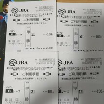 競馬　ドバイ　ゴールデンシャヒーン　レーシングプログラム　オッズシート　単勝馬券利用明細　ドンフランキー　イグナイター　リメイク　_画像3