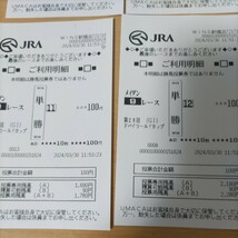 ドバイワールドカップ　競馬　単勝利用明細　オッズシート　デルマソトガケ　ドゥラエレーデ　ウシュバテソーロ　ウィルソンテソーロウマ娘_画像4