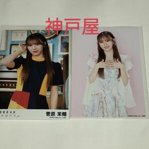 SKE48 菅原茉椰 愛のホログラム 楽天ブックス限定+初回限定盤 封入 生写真 2枚