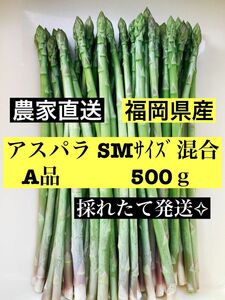 アスパラ SMサイズ 即購入OKです