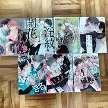 送料込　BLまとめ売り、43冊、猫野まりこ、町田とまと、不死身式、猫田リコ、おまゆ、熊猫、佐崎いま　他_画像9