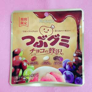 春日井　つぶグミチョコの贅沢　1袋