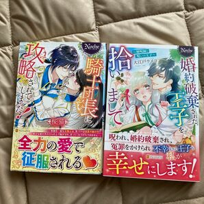 騎士団長に攻略されてしまった！ （Ｎｏｃｈｅ） 桜猫／〔著〕婚約破棄された王子を拾いまして