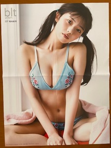 ◆即決◆　菊地姫奈　ポスター ⑥