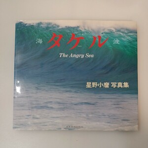 zaa-556♪タケル: 海波 TheAngrySea 星野小麿写真集 石原 慎太郎 (序論), 星野 小麿 (写真) 日本芸術出版社 (1997/7/20)