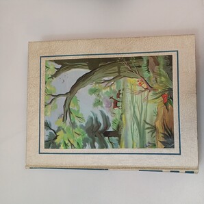 zaa-559♪The Bookshelf for Boys and Girls VolumeⅦ Nature and Science The Editorial Board of The University Society (著)1970年