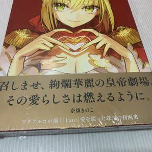 1/9☆【未開封】愛-ワダアルコ Fate ART WORKS- TYPE-MOON BOOKS☆の画像3