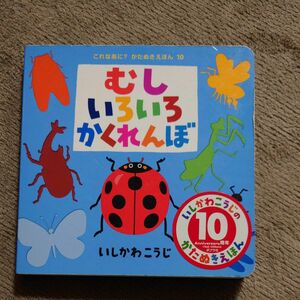 むしいろいろかくれんぼ （これなあに？かたぬきえほん　１０） いしかわこうじ／作・絵