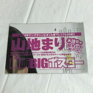 B19033 ◆未開封品 山地まり ヤングチャンピオン 付録　ポスター