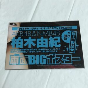 B19037 ◆未開封品 柏木由紀 ヤングチャンピオン 付録　ポスター