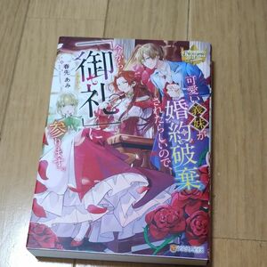 可愛い義妹が婚約破棄されたらしいので、今から「御礼」に参ります。 （レジーナブックス） 春先あみ／〔著〕