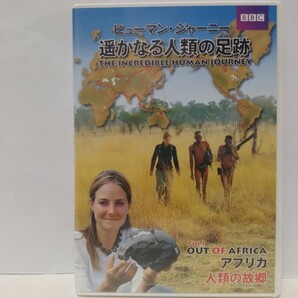 絶版◆◆美品 DVD ヒューマン・ジャーニー 遥かなる人類の足跡1 アフリカ 人類の故郷◆◆人類誕生 遺伝子データ アフリカを出るルート