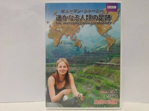 ◆◆絶版ＤＶＤ ヒューマン・ジャーニー 遥かなる人類の足跡2 アジア 異境の試練◆◆極寒地 氷河期ピーク南部へ移動 中国起源説 遺伝子分析