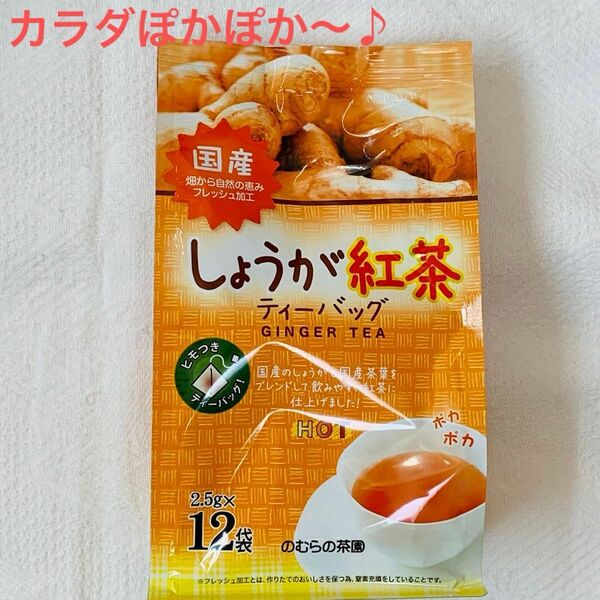 【値下げ！】のむらの茶園 国産しょうが紅茶 2.5g×12袋　1個