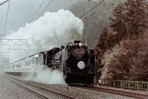 (B23)766 写真 古写真 鉄道 鉄道写真 EF651106 水上 さよなら蒸気機関車D51498やすらぎ 草津EF210-7 他 フィルム ネガ まとめて 25コマ _画像8