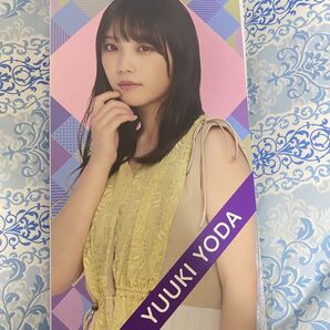 乃木坂 欅坂 櫻坂 日向坂 生写真まとめ売り 卒業生あり