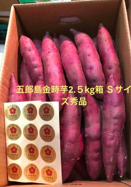 （最終出荷価格）加賀野菜　五郎島金時芋2.5kg Ｓサイズ秀品