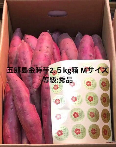 （最終出荷価格）加賀野菜　五郎島金時芋2.5kg Mサイズ秀品