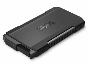 SanDisk Professional　SSD　PRO-BLADE TRANSPORT SDPM2NB-004T-GBAND