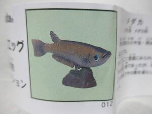 チョコエッグ 日本の動物 第1弾 012 メダカ めだか 目高 魚 観賞魚 淡水魚 生物 生き物 フィギュア 絶版品 未組立品 フルタ 海洋堂 KAIYODO