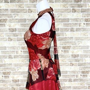 社交ダンスドレス 美品 SORELI ソレリ インナーパンツ付 赤系柄 ダンス衣装ドレス カラードレス  舞台衣装 中古２９８９の画像7