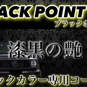 BLACKPOINT 超絶疎水性 スーパーガラスコーティング剤 250ml(超光沢ガラス被膜！超持続！超防汚！ムラ無し！施工簡単！)