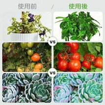 植物育成ライト 植物育成 LED植物育成灯 室内栽培 3つ照明モード 9段階調光 観葉植物 4ヘッド式ライト タイマー付き 360°調節可能_画像2