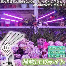 植物育成ライト 植物育成 LED植物育成灯 室内栽培 3つ照明モード 9段階調光 観葉植物 4ヘッド式ライト タイマー付き 360°調節可能_画像3