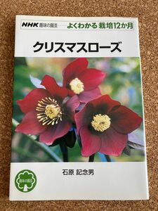 クリスマスローズ （ＮＨＫ趣味の園芸　よくわかる栽培１２か月） 石原記念男／著　中古本