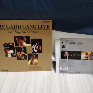 ■3点以上で送料無料!!レーザーディスク THE GADDGANG LIVE GANG Steve Gadd スティーヴ（スティーブ）ガッド LD118NTの画像2