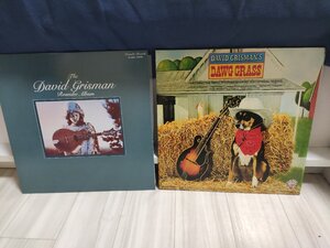 ■レコード 5000円以上で送料無料！ フォーク & カントリー 国内盤 0-11409 DAVID GRISMAN DAWG GRASS 55LP2NT