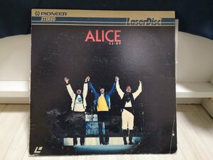 #3 point and more free shipping!!ALICE 11.07/ Alice 172LP2NT