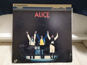 #3 point and more free shipping!!ALICE 11.07/ Alice 172LP2NT