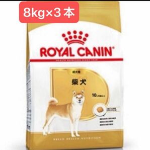 ロイヤルカナン　柴犬成犬用　8kg×3個