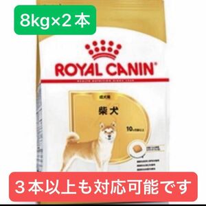 ロイヤルカナン　柴犬成犬用　8kg×2個