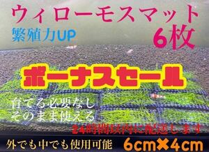 ウィローモスマット　6枚セット　業者様もご愛用　すぐ使えます。　24時間以内に配送します。