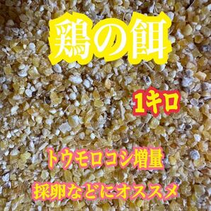 鶏の餌　ニワトリのエサ　1kg トウモロコシ増量　粉砕トウモロコシ　採卵などに