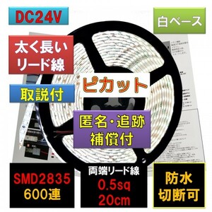 高輝度 ピカット LEDテープライト 24V 防水 5m ホワイト 白ベース 太くて長いリード線 fa