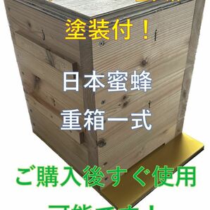 板厚３３mm 日本蜜蜂 巣箱 重箱 待ち箱 ニホンミツバチ